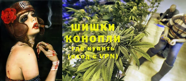 стаф Бронницы