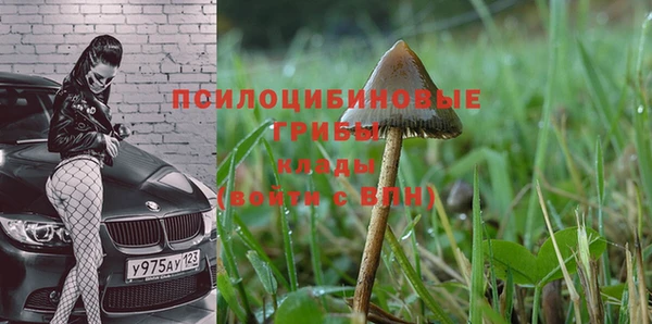 дурь Бугульма