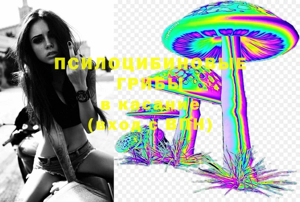 бутик Бородино