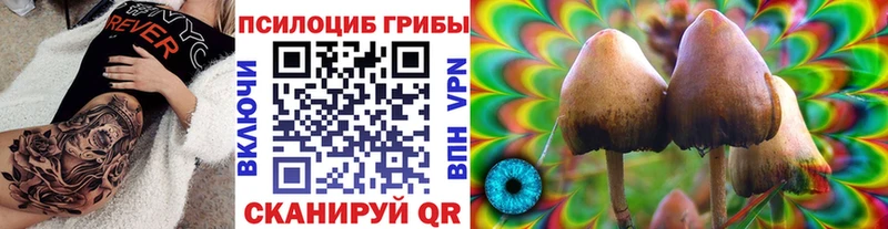 цены наркотик  Лиски  Псилоцибиновые грибы Magic Shrooms 